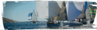 wp-1457171095394.jpg