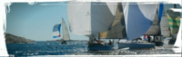 wp-1457171162792.jpg