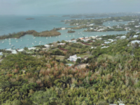 wp-1462541566439.jpg