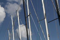 Image00008