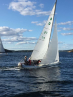 Hvaler rundt