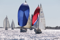 Regattabilde