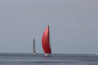 2020_twostar00973