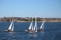 kutterstart